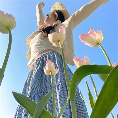 荔枝树下热烈岛
