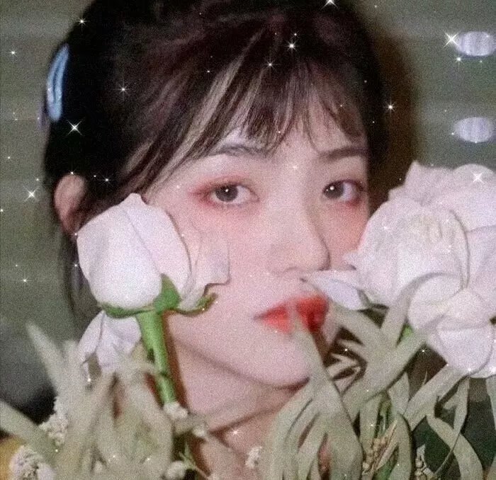母牛